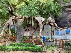 -中国第四纪冰川遗迹陈列馆