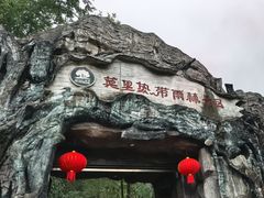 -莫里热带雨林景区