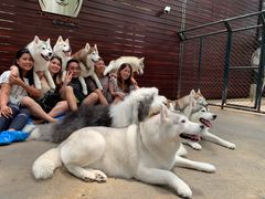 -TrueLove @ Neverland (Husky Cafe)