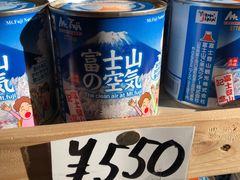 -富士山吉田線五合目