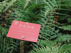 -中国科学院西双版纳热带植物园