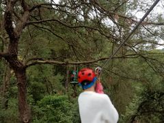 -芦仙山景区-飞越丛林探险乐园