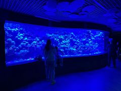 -太平洋海底世界