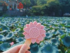 -广州莲花山旅游区