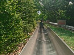-富斯特索道