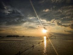 -红树林天天赶海
