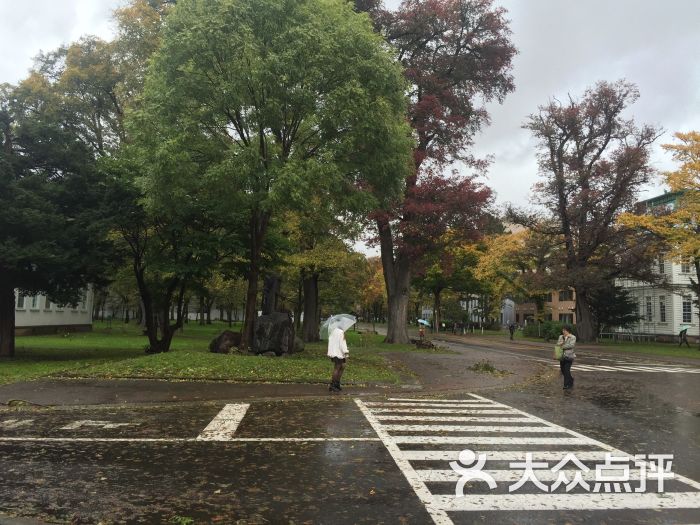 北海道大学图书馆图片