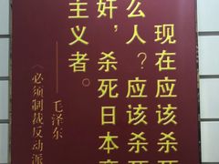 -白洋淀景区