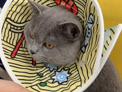 -美联众合动物医院·24h京西诊疗中心