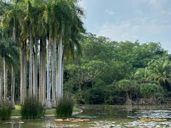 -中国科学院西双版纳热带植物园