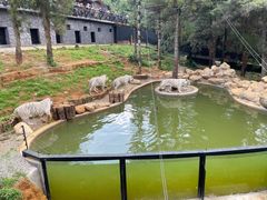 -云南野生动物园