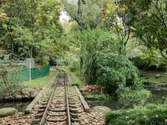 -上海共青森林公园