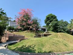 -凤阁楼果木烧鹅(鹤山陈山店)