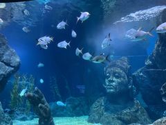 -暹罗海洋世界