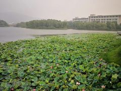 -江南大学(蠡湖校区)