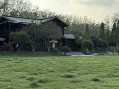 -合肥滨湖国家森林公园