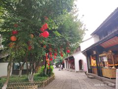 -西溪国家湿地公园