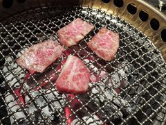 -300杯·和牛烧肉清酒专门店(廊里店)