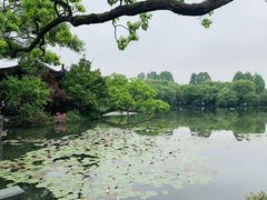 -西湖外事游船(花港观鱼码头)