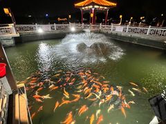 -长春市南湖公园