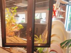 -黄鹤天厨·泡椒田鸡创始者(莲花店)
