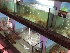 水产区-旺达·福州菜(正大广场店)