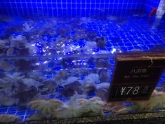 -尊立方海鲜酒店·生日宴·家宴