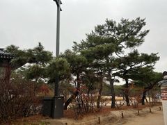 -景福宫