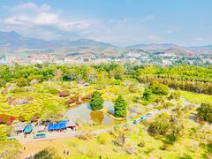 -中国科学院西双版纳热带植物园