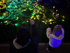 -墨尔本皇家植物园