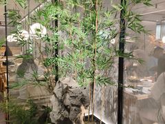 -绿茶餐厅(青岛城阳万象汇店)
