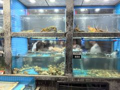 -码头鲜精致威海菜(欧乐坊店)