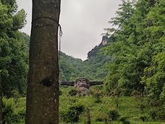 -神农架景区