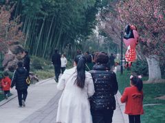 景点-荆川公园