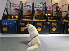 -天空之城·明日世界(南亚店)