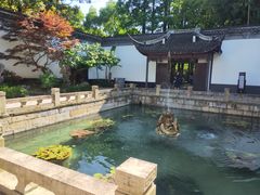 -上海醉白池公园