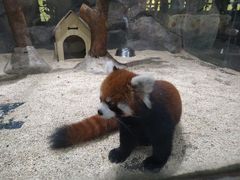 -海合安武汉极地海洋公园