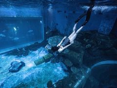 -华夏文旅海洋公园