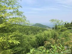 -长沙黑麋峰国家森林公园