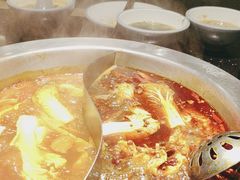 -井格重庆火锅(西直门凯德Mall店)