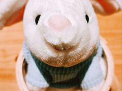 -大象厨房(重庆道店)