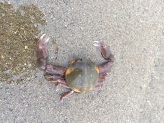 iphone_upload_pic-营口金泰珑悦海景大酒店