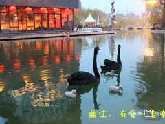-西安曲江寒窑遗址公园