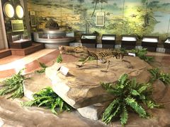 -自贡恐龙博物馆