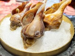 清酒冻海螺-1218 GRILL 主厨
