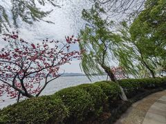 -西湖天地