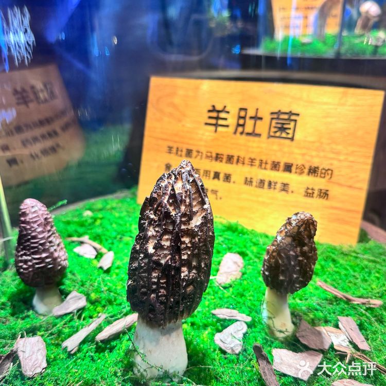 温暖一锅，抵过千言万语
