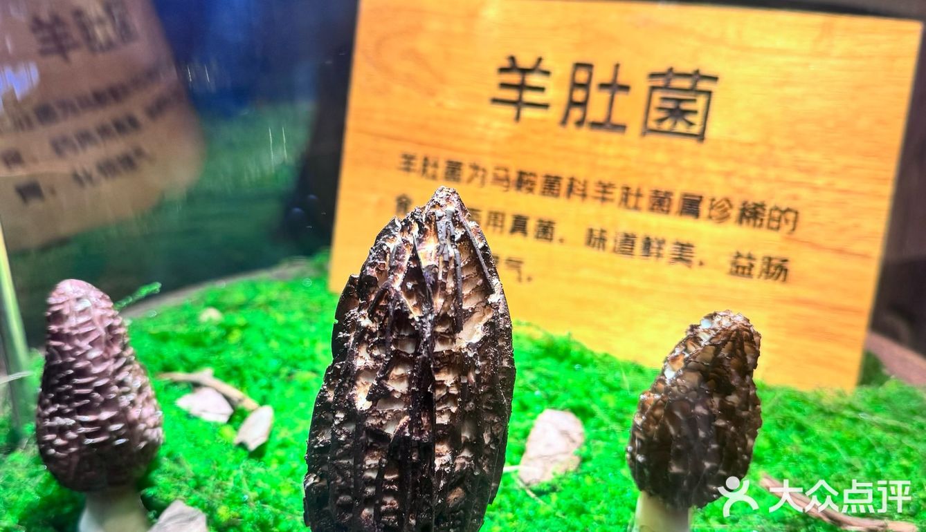 温暖一锅，抵过千言万语