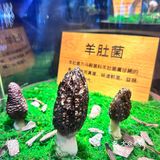 温暖一锅，抵过千言万语