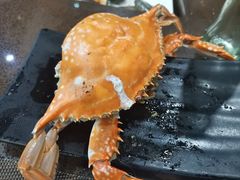 螃蟹-悦巷海鲜自助铁板烧(秦皇东大街店)